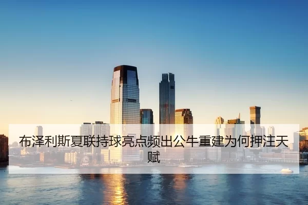 布泽利斯夏联持球亮点频出公牛重建为何押注天赋