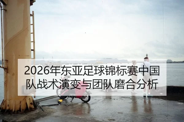 nian-dong-ya-zu-qiu-jin-biao-sai-zhong-guo-dui-zhan-shu-yan-bian-yu-tuan-dui-mo-he-fen-xi-2-672.jpg