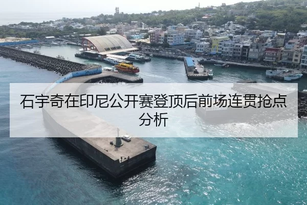 石宇奇在印尼公开赛登顶后前场连贯抢点分析